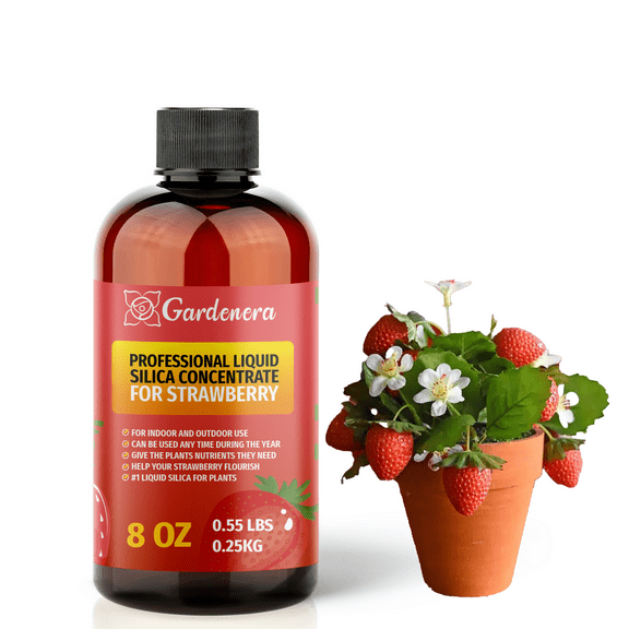 ⭐ PREMIUM Bioavailable Silica Fertilizer for Strawberry – 8oz – Ideal for Hydroponics & Soil – Healthier Plants with Strong Stalks - CONCENTRATE