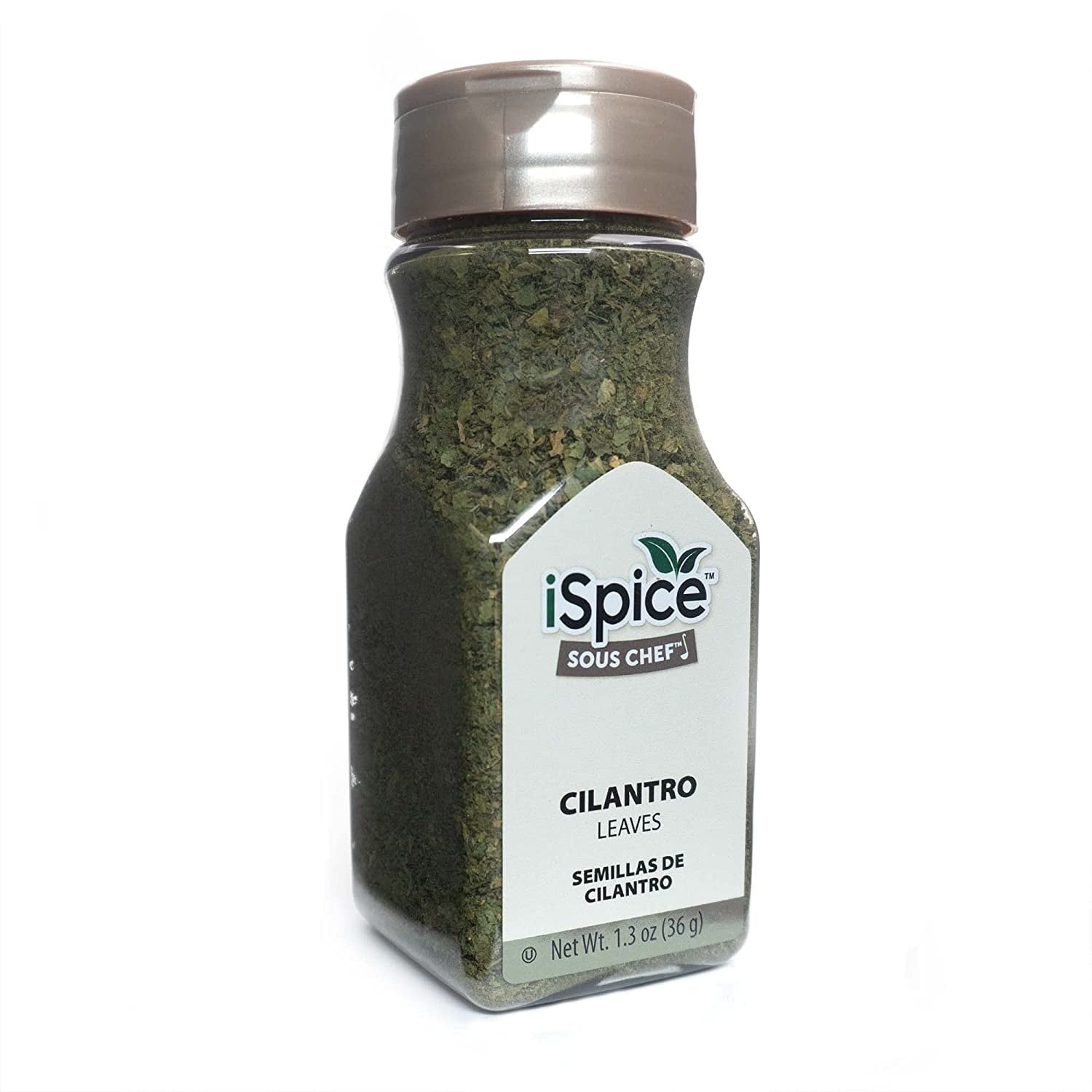 PREMIUM FULLFLAVORED CILANTRO LEAVES (Coriander Leaves) Pure and , Aromatic Essential Kitchen