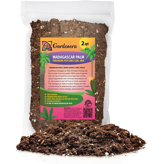 ⭐ PREMIUM Madagascar Palm Plant Potting Soil by Gardenera Labs - Infuse Your Space with Distinctive Elegance and Lively Vitality - 2 QUART