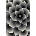 thumbnail image 1 of Premium Rug Design 11301 - 5'2"x7'5", Grey, 1 of 1