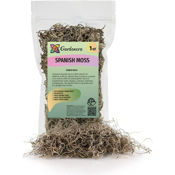 ⭐ BEST POTTING MIXES - Natural Spanish Moss | Natural Preserved - Great Ground Cover - Filler for Potted Plants by ://N ★ LOVA - 1 Quart Bag