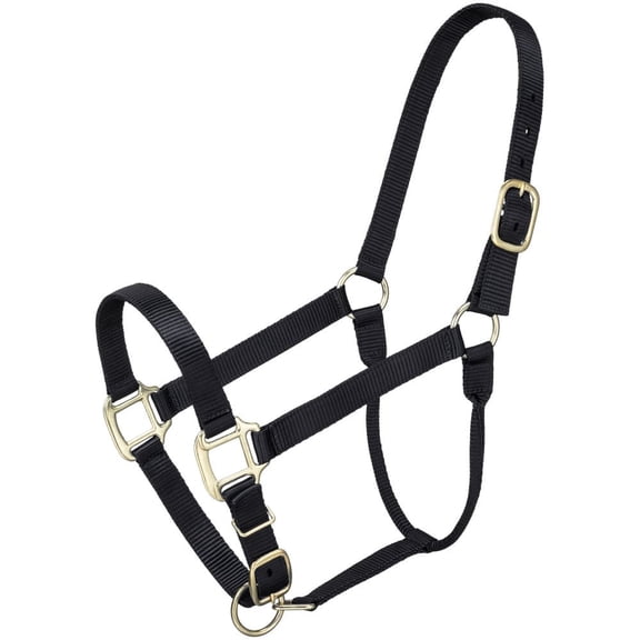 PREMIUM POLY HALTER LRG HORSE