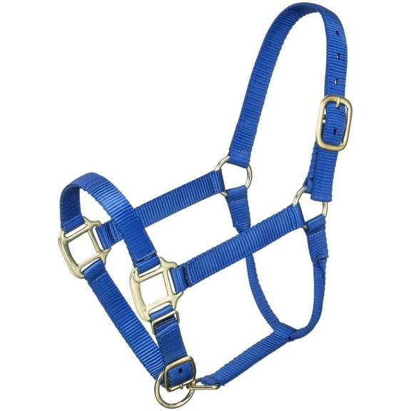 PREMIUM POLY HALTER PONY