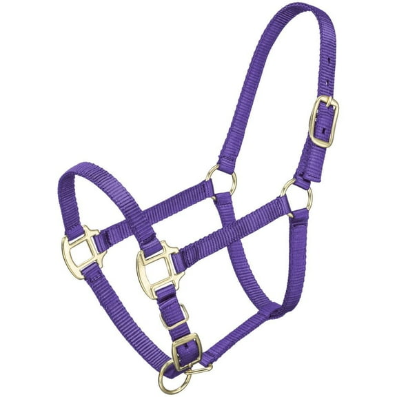 PREMIUM POLY HALTER WEANLING
