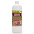 thumbnail image 1 of ⭐ PREMIUM Plant Growth Superfood for All Plants with 18 Essential Vitamins & Minerals - Organic Plant Food Fertilizer - Micro-Fungi and Bio-Organisms for All-Purpose Care - 32 OZ, 1 of 4