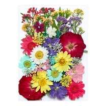 PRETXORVE Dried and Embossed Flowers for Resin Kit Candles and Crafts