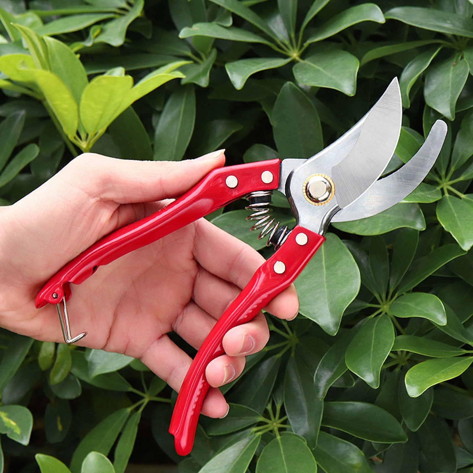 PRETXORVE Garden Pruning Shears Stainless Steel Blades Handheld Pruners ...