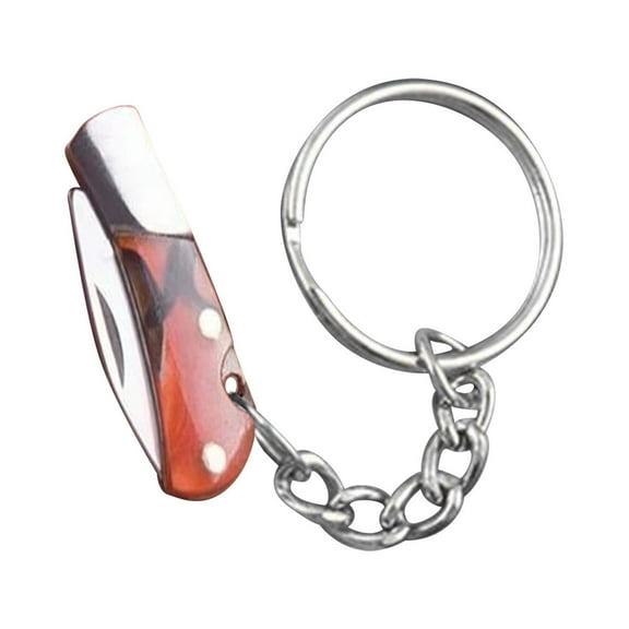 PRETXORVE Home Decor, Room Decor, Mini Folding Knife Keychain Detachable Delivery Knife Folding Small Knife Keychain Knife Gift Carrying Pocket Knife 2 Pieces