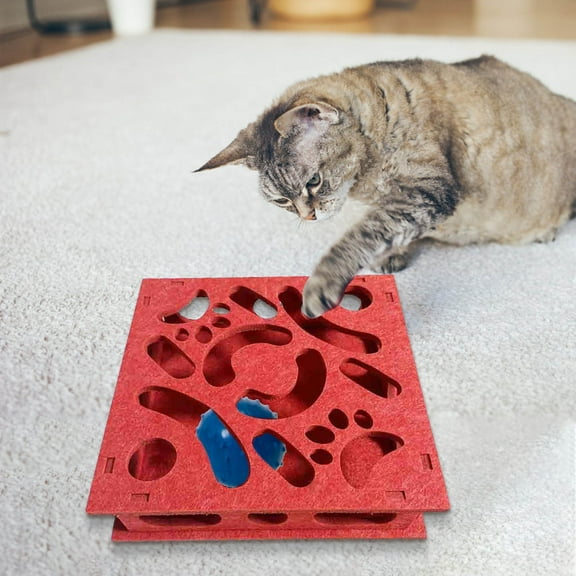 PRETXORVE intelligence Maze Box