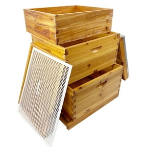 PRIJESSE Beginner Bee Hive Kit for Beekeeping - 3-Tier Langstroth Design with Waterproof Cover & Ventilation