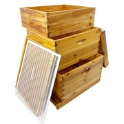 PRIJESSE Beginner Bee Hive Kit for Beekeeping - 3-Tier Langstroth Design with Waterproof Cover & Ventilation