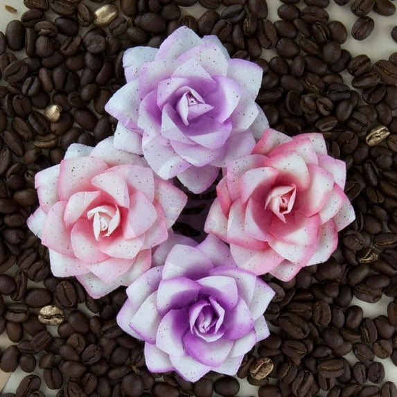 PRIMA MARKETING INC Kindled- Alabaster UPC 655350581411