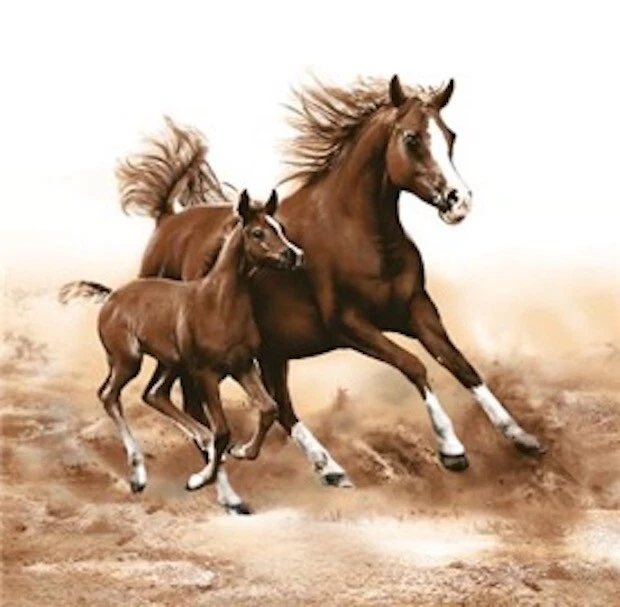 PRIME - Mare With Foal Equestrian Paper Luncheon Napkins 13"X13" 40Pcs Horses Decoupage