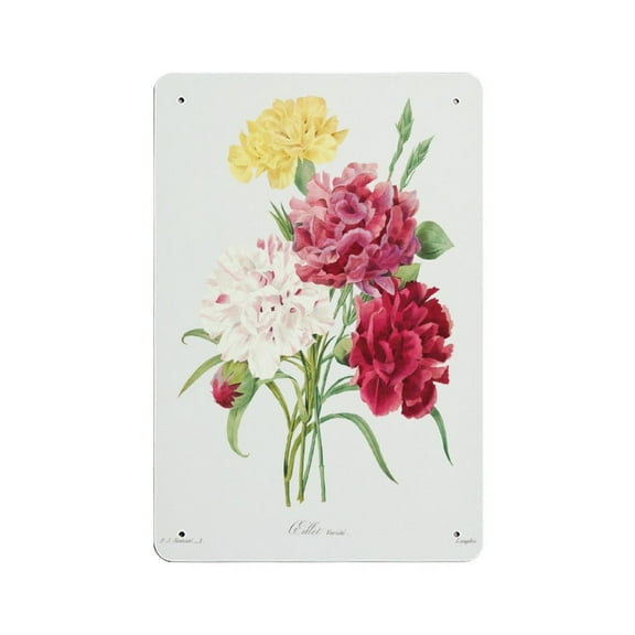 PRINTABLE WALL ART Carnation Bouquet Flower tin sign, Wall Decor, Home Decor, Printable Art, Botanical Print,Retro style, farmhouse decoration, home, bar, garage, tin sign 5.5x8 inches
