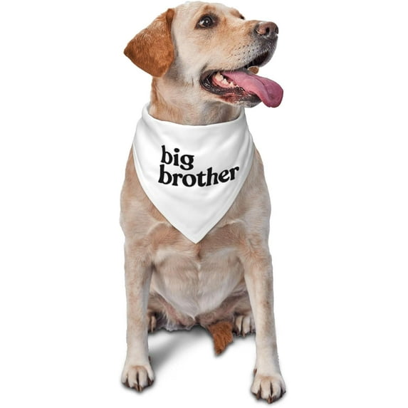 PRIYAL Big Brother Dog Bandana Gender Reveal Dog Bandana Reversible,baby announcement dog,Gift for Dog Lover Owner (white)