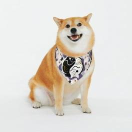 2 Packs Dog Bandana Chiffon Pet Scarves Sunflower Printing Dog Bib Kerchief Scarf for Small Medium Large Dogs Cats Pets Birthday Gift Walmart