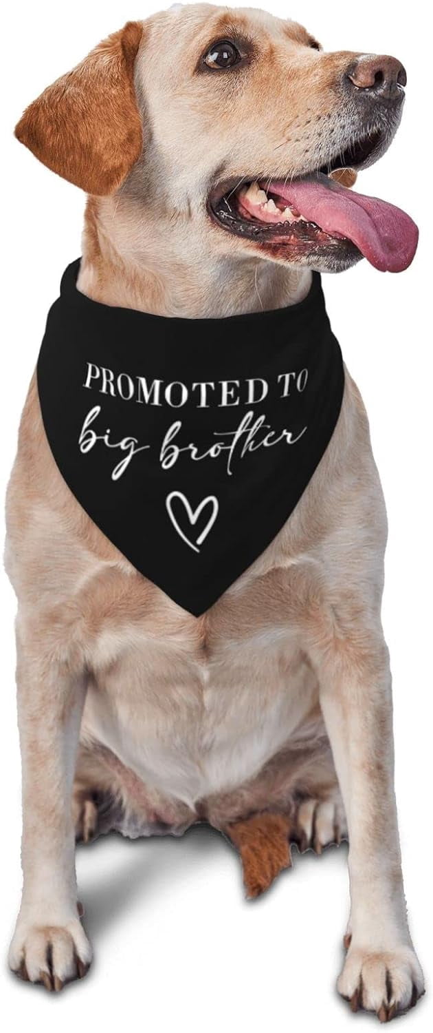 Big Brother Hundehalstuch – Babyrosa, Für Kleine Bis Große Hunde, 63,5 X 43,2 Cm