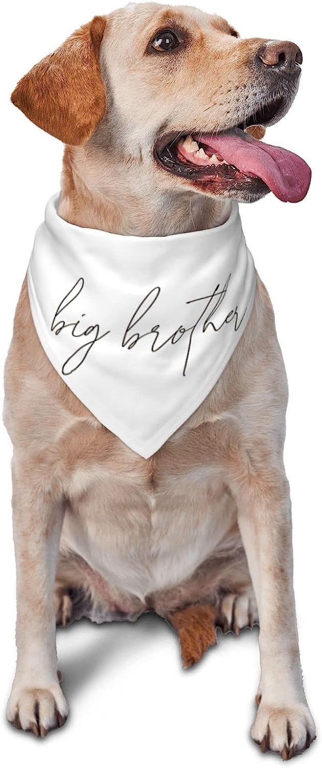 Big Brother Hundehalstuch – Babyrosa, Für Kleine Bis Große Hunde, 63,5 X 43,2 Cm