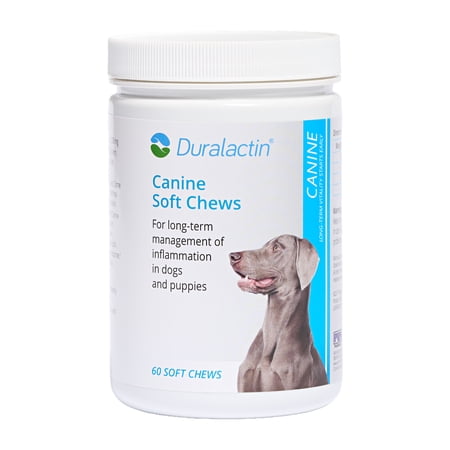 PRN Pharmacal Duralactin Canine Soft Chews - Joint Health Supplement for Dogs & Puppies to Help Reduce Chronic Soreness - Canine Chews Containing Dried Milk Protein - Chicken-Liver Flavor - 60 Chews