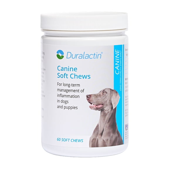 PRN Pharmacal Duralactin Canine Soft Chews - Joint Health Supplement for Dogs & Puppies to Help Reduce Chronic Soreness - Canine Chews Containing Dried Milk Protein - Chicken-Liver Flavor - 60 Chews