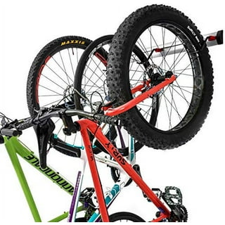 Bike Mount