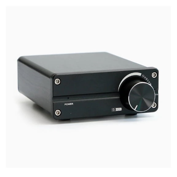 PRO HiFi 2.0 Channel Mini Class Digital Amplifier Stereo Amp 100W*2 for Speaker ,Bass & Treble Control