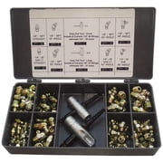 PRO-LUBE 101 Piece Inch-Measurement Grease Fitting Set