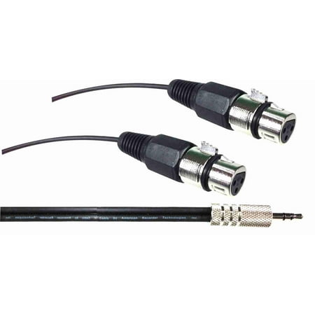 PRO Series 3.5mm to Dual XLR Female