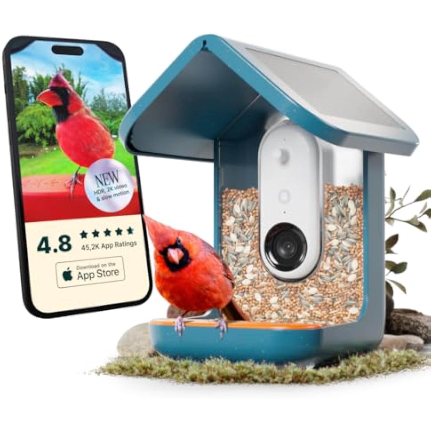 PRO Solar Smart Bird Feeder with Camera - AI Bird Species ...