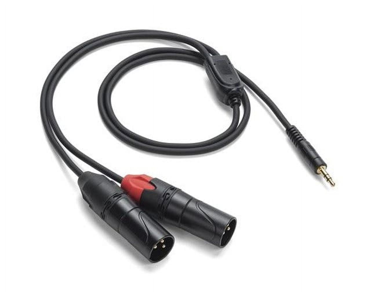 Tourtec Tourtek PRO TPA Breakout Cable - 1/8" TRS to Dual XLR Male 9ft