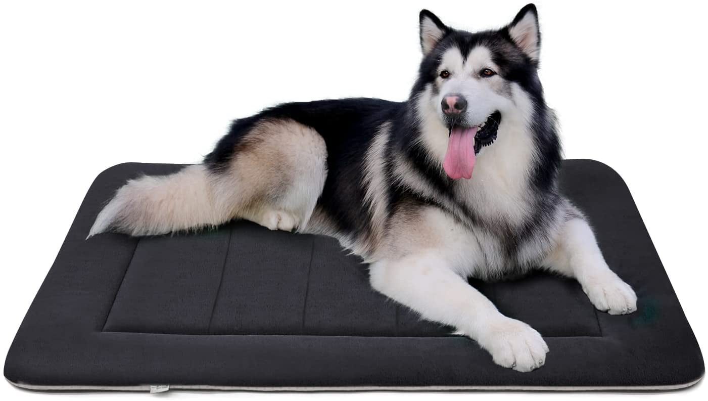 Visual Reference: Procipe Extra Large Cushion Dog Bed 47 Washable Kennel Pad