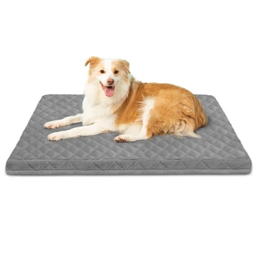 Curated visual reference: Gallery Detail: Coolaroo Cooling Elevated Dog Bed Pro Medium Fits In 42In