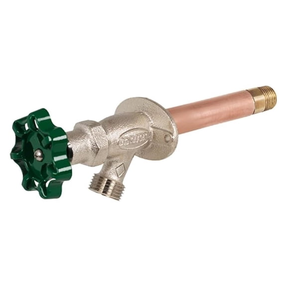 PRODUCTS C-134D12 Residential wall hydrant, 12"