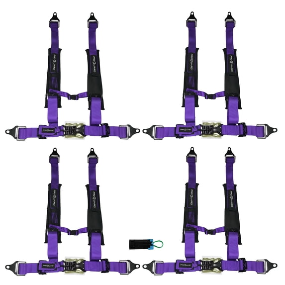 PROGUARD Purple 4 Point Universal UTV Off-Road Harness 2" Straps (4 Pack) with Bypass Clip