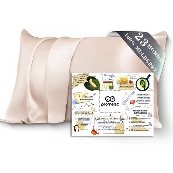 PROMEED 100% Silk Pillowcase for Hair and Skin, Both Sides Grade 6A+ 23mm Mulberry Silk Pillow Case with Hidden Zipper, 1400 TC, Soft & Smooth (Queen 20"x30", Champagne)