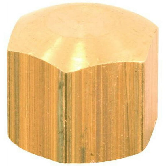 Proplus 260981 5/8 in. Lead Free Brass Compression Cap 10 pack