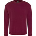 thumbnail image 1 of PRORTX  Adult Pro Sweatshirt, 1 of 4