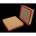 thumbnail image 1 of PROTEC-NEW Air Filter Panel, 1 of 2