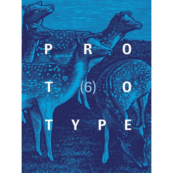 PROTOTYPE 6 Jess Chandler (Paperback)