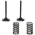 thumbnail image 1 of PROX STEEL INTAKE VALVE/SPRINGKIT CRF450X '05-09, 1 of 1