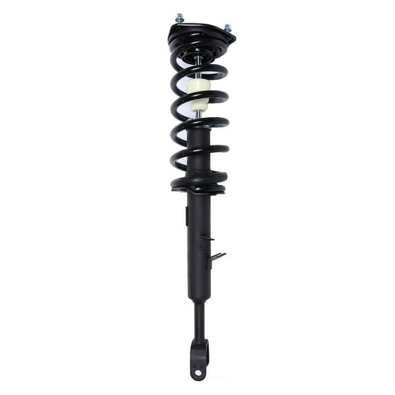 PRT 818564 PRT Suspension Strut and Coil Spring Assembly