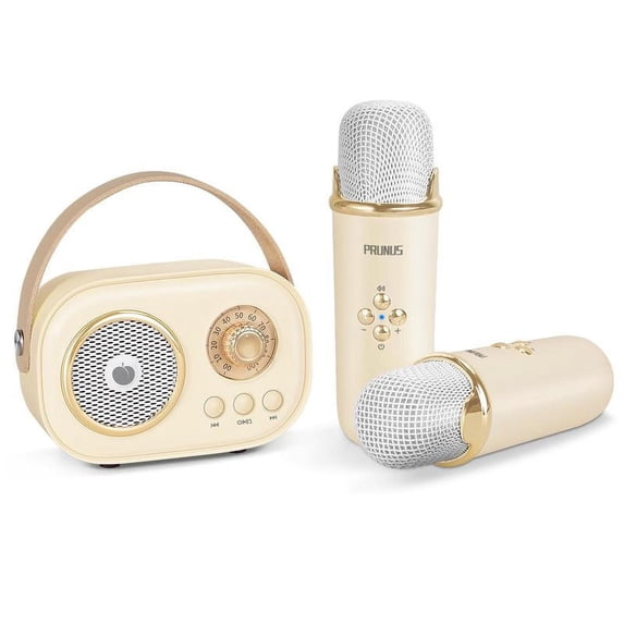 PRUNUS C20 Mini Karaoke Machine Portable Bluetooth Speaker with Wireless Microphone 6 Sound Modes for Kids Home Party Birthday Gifts for Girls Boys