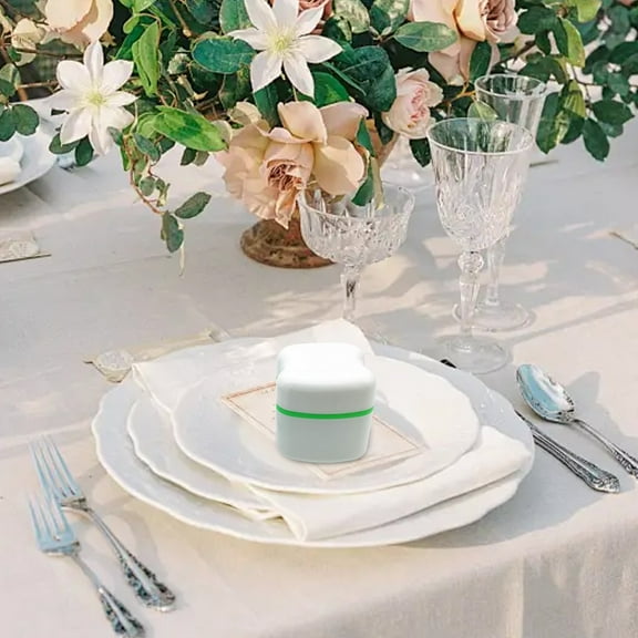 PRYESS (Tooth Storage Box with Filter Screen), Denture Immersion Box Split European Style Tooth Storage Box Denture Storage Box Full Mouth Denture Placement Box, Green