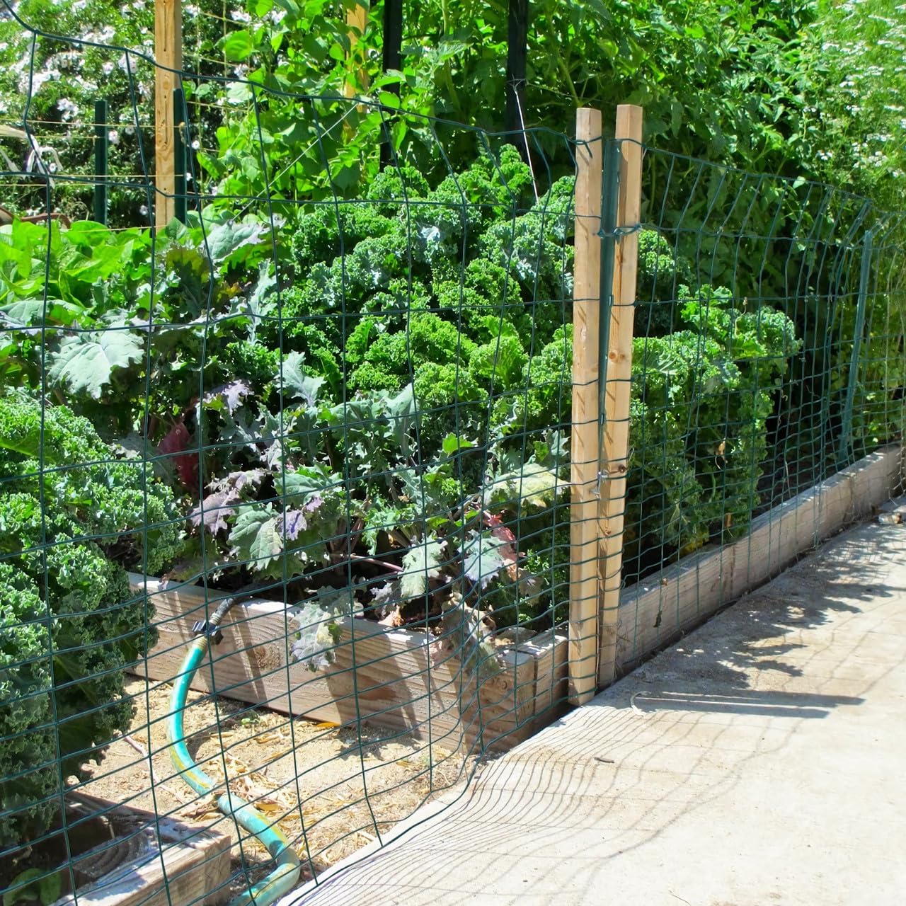 PRZL Green Vinyl Coated 16 Gauge Rabbit Guard Fence, Poultry Outdoor ...