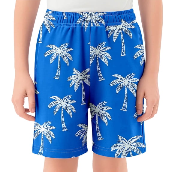 PRfgtbd Boys Summer Beach Shorts Mesh Breathable Lightweight Swim Trunks For Boys Casual Beachwear Summer Quick Dry Bathing Suit Swimwear 5-6 Years