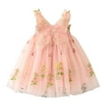 thumbnail image 1 of PRfgtbd Toddler Girls Sleeveless Tutu Dress With Butterfly Wing Floral Embroidered Princess Dresses Cute Party Tulle Dress Summer Sundress Adorable Clothes, 1 of 4