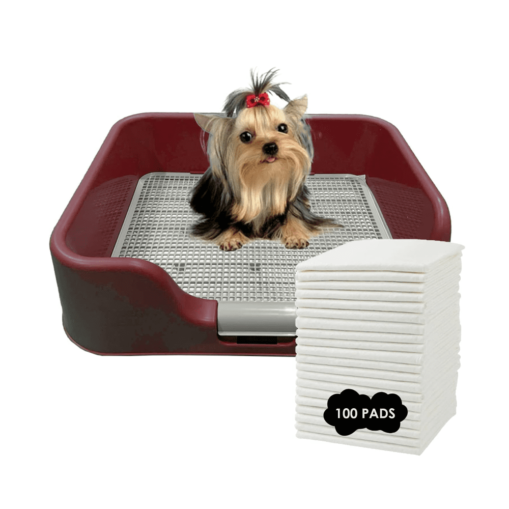 PS KOREA Indoor Dog Potty Tray With Protection Wall Every Side For No Leak Spill Accident Keep Paws Dry And Floors Clean 100 Satisfaction Tray Pad Wine Walmart