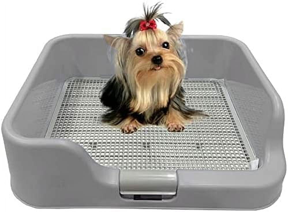 PS KOREA Indoor Dog Potty Tray with Protection Wall Every Side for No