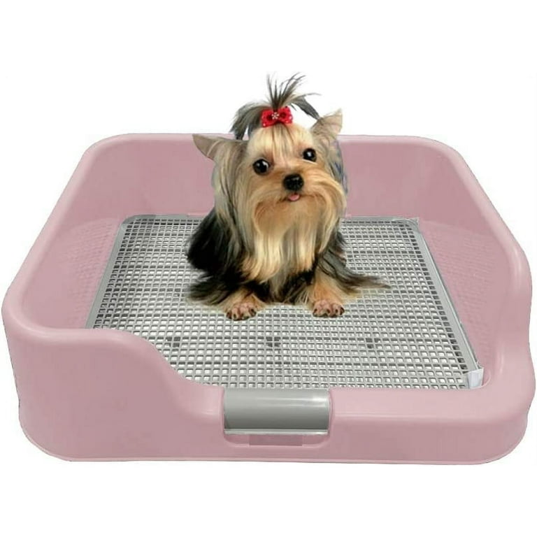 Inside top dog potty