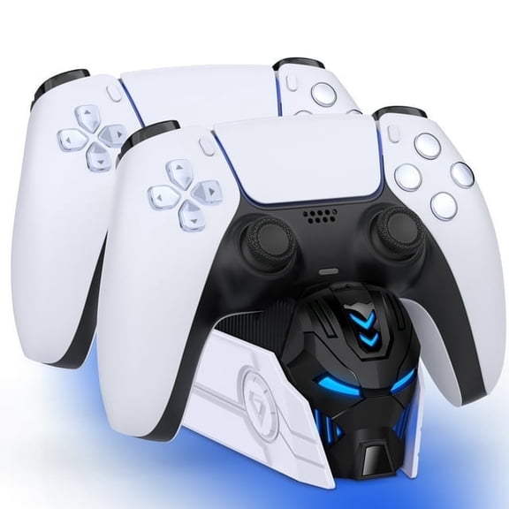 PS5 Controller Charger